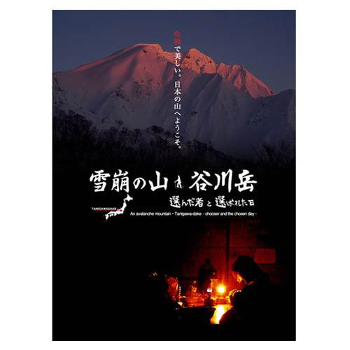 雪崩の山谷川岳